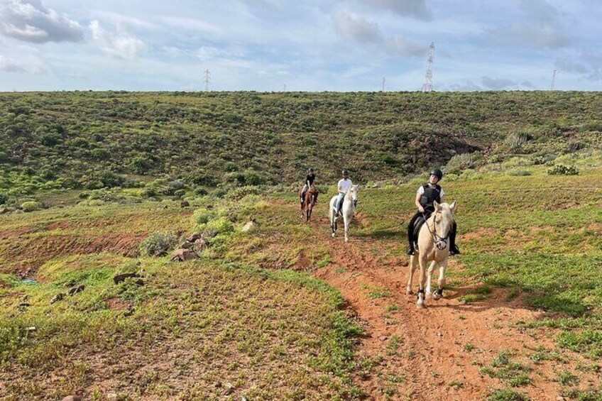 Relaxing Horse Riding Tour in Gran Canaria