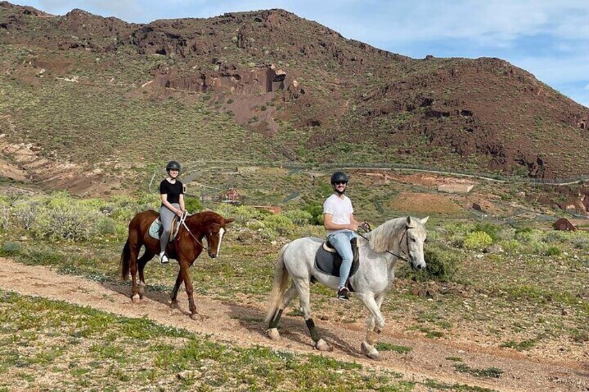 Relaxing Horse Riding Tour in Gran Canaria