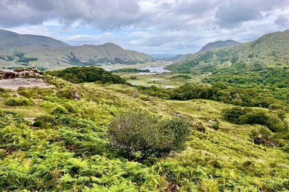 Private Tour of Kerry and Killarney from Cork and Cobh