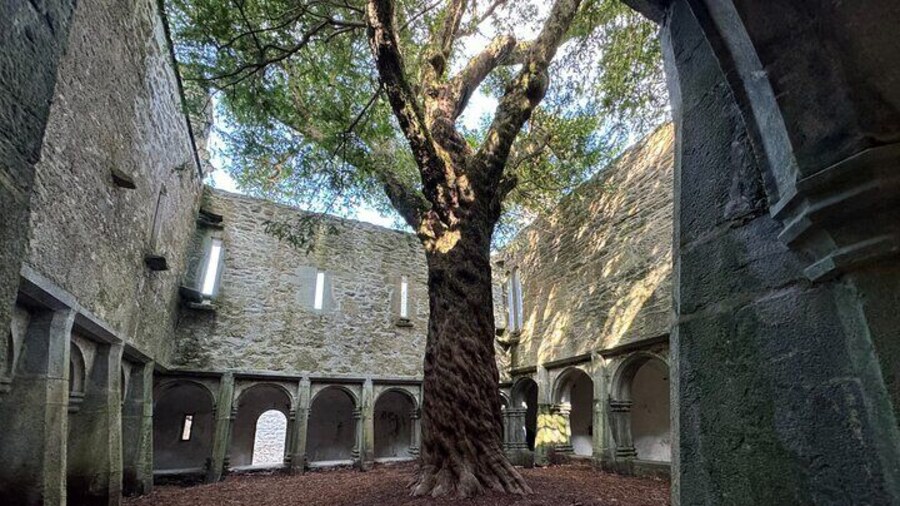 Private Day Tour of Kerry and Killarney from Cork or Cobh