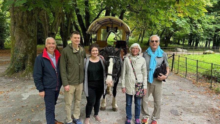 Private Day Tour of Kerry and Killarney from Cork or Cobh