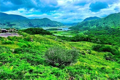 Private Tour of Kerry and Killarney from Cork or Cobh