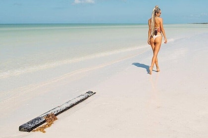 Holbox Exclusive Full Day Tour