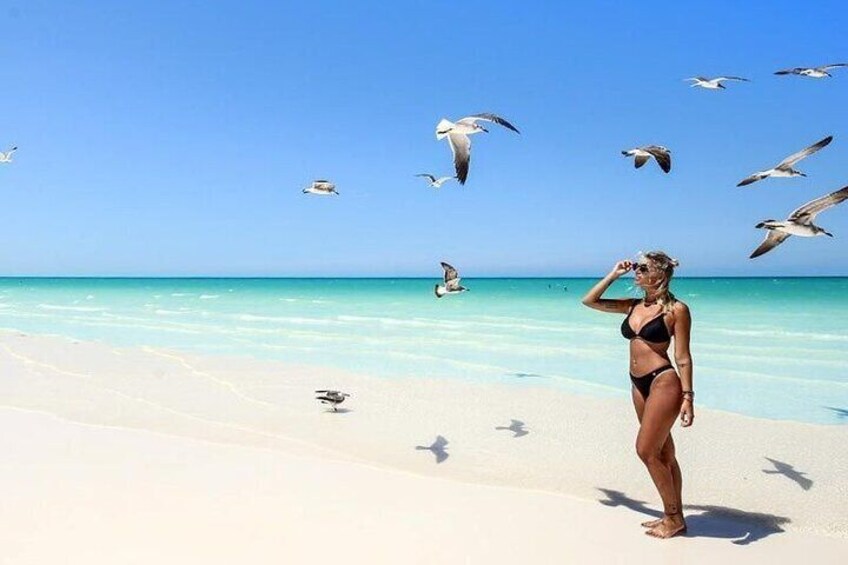 Holbox Special Full Day Tour, Isla Pasion and Punta Mosquito