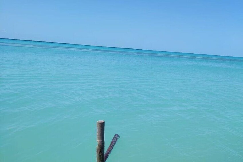 Holbox Special Full Day Tour, Isla Pasion and Punta Mosquito