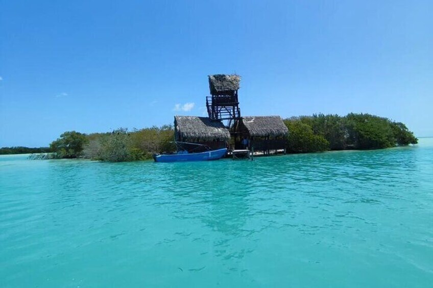 Holbox Special Full Day Tour, Isla Pasion and Punta Mosquito