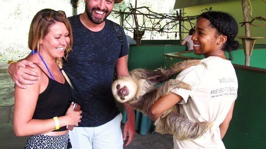 Visiting the Sloth Sanctuary where the specialized biologists take care of the rescued sloths