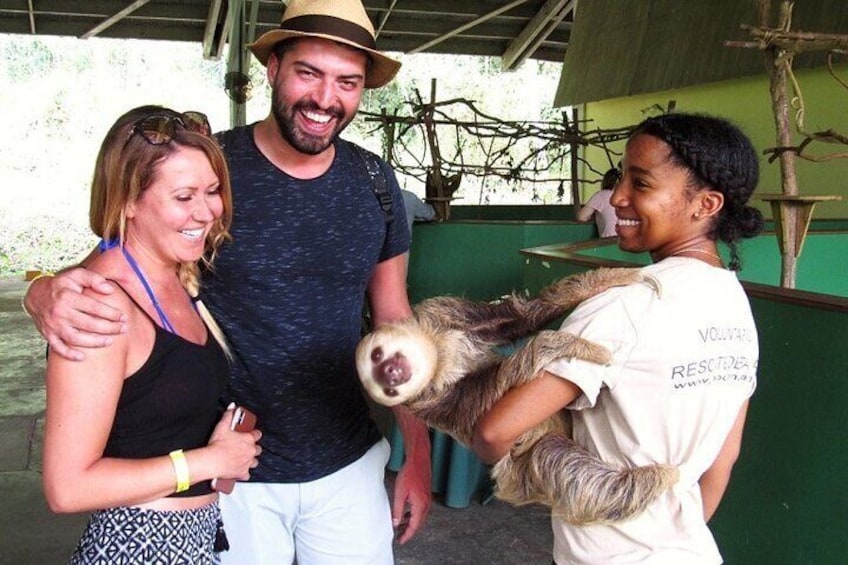Visiting the Sloth Sanctuary where the specialized biologists take care of the rescued sloths