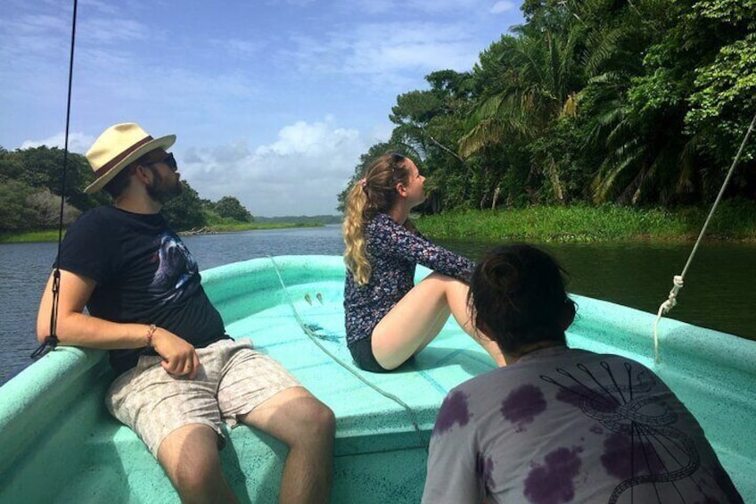 Guided Boat Tour of Sloth Sanctuary and Gamboa Wildlife in Panama