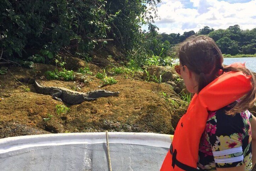 Guided Boat Tour of Sloth Sanctuary and Gamboa Wildlife in Panama