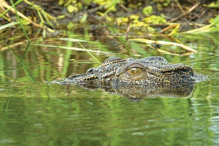 3-Day Kakadu & Litchfield 4WD Camping Adventure from Darwin