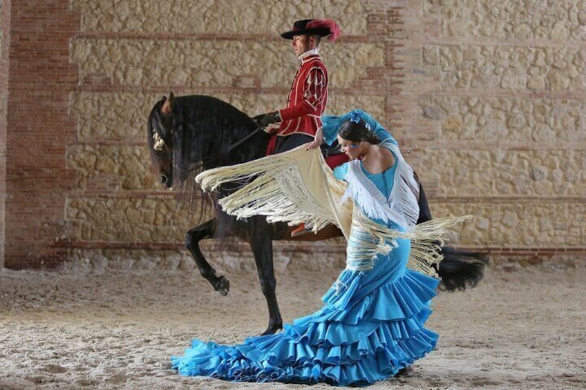 Equestrian Show Royal Stables of Córdoba