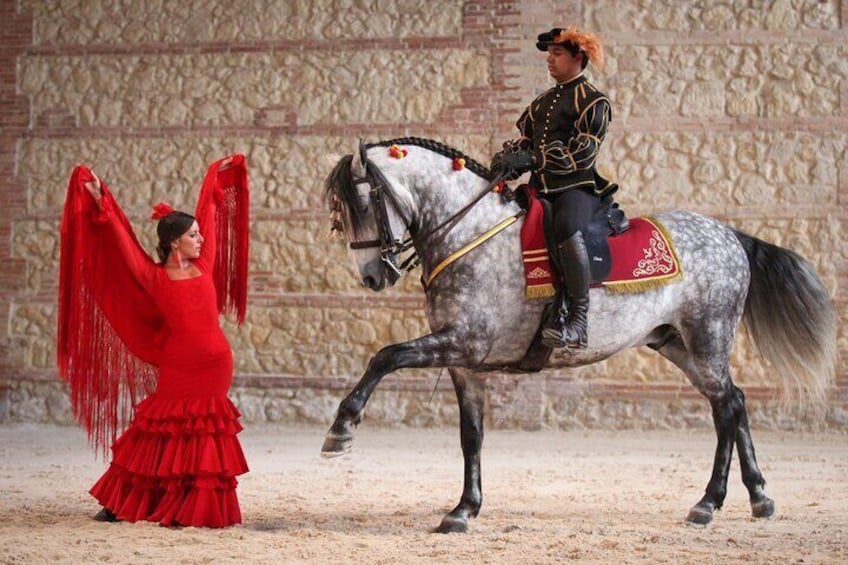 Equestrian Show Royal Stables of Córdoba