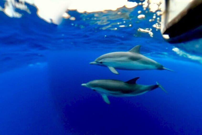 Taormina and Isola Bella Boat Tour: with Snorkeling and Aperitif