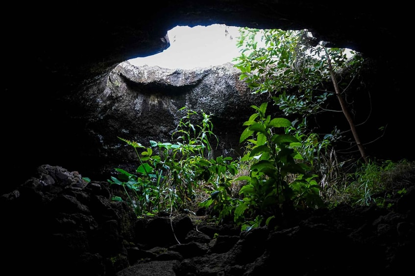 Picture 4 for Activity Volcanic Refuges: Excursion to Underground Civilization