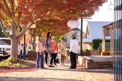 Recorrido a pie por Hahndorf, Australia del Sur