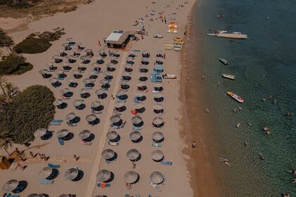 Tour to Sitia, Toplou Monastery and Vai Palm Beach from Ierapetra