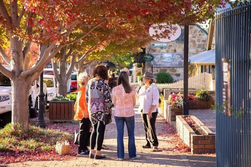 Strassendorf Walking Tour. Permission to use for Viator Hahndorf Walking Tour listing.