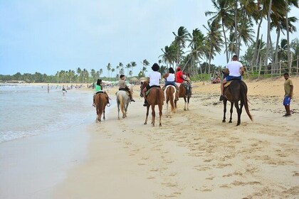 Morning horseback riding tour from Punta Cana