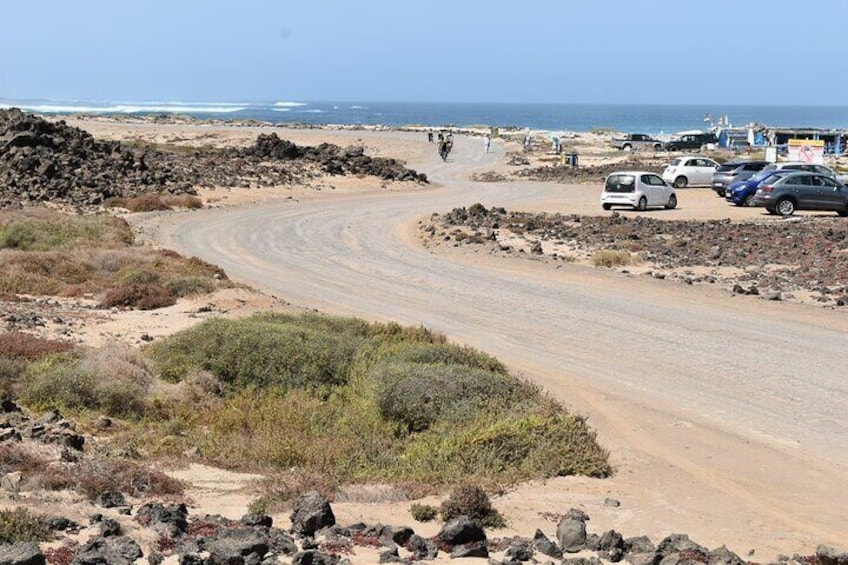 Bike Corralejo (MTB and CITY rental)