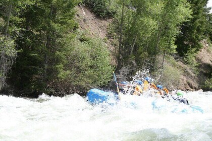 Raft the Blue River Rare Gem of Colorado Closest to Breckenridge