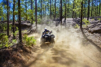 From Woodlands to Volcanic Heights: 50% off-road/Trails