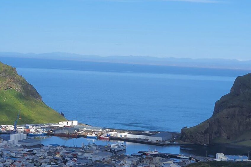 Eyjascooter Puffin Tour in Iceland