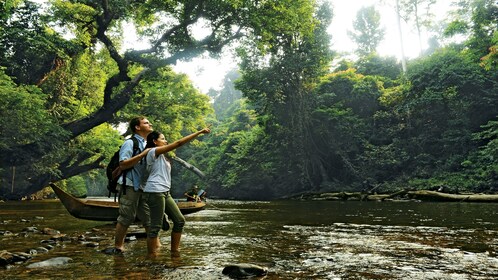 Privater Taman Negara Nationalpark Tagesausflug von K.L