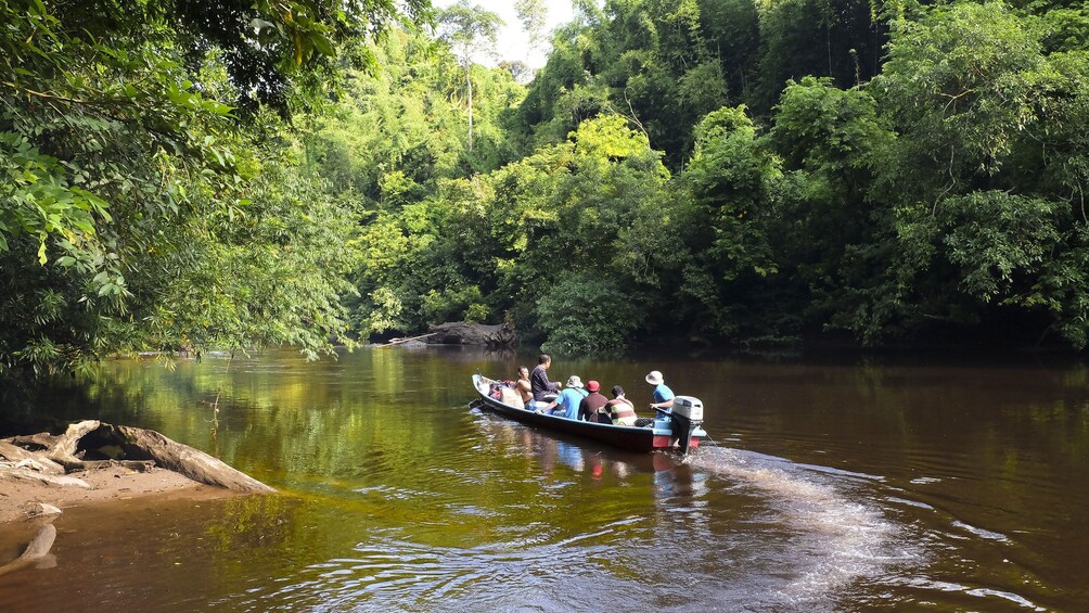 Tour boat travels down river in Taman Negara National Park
