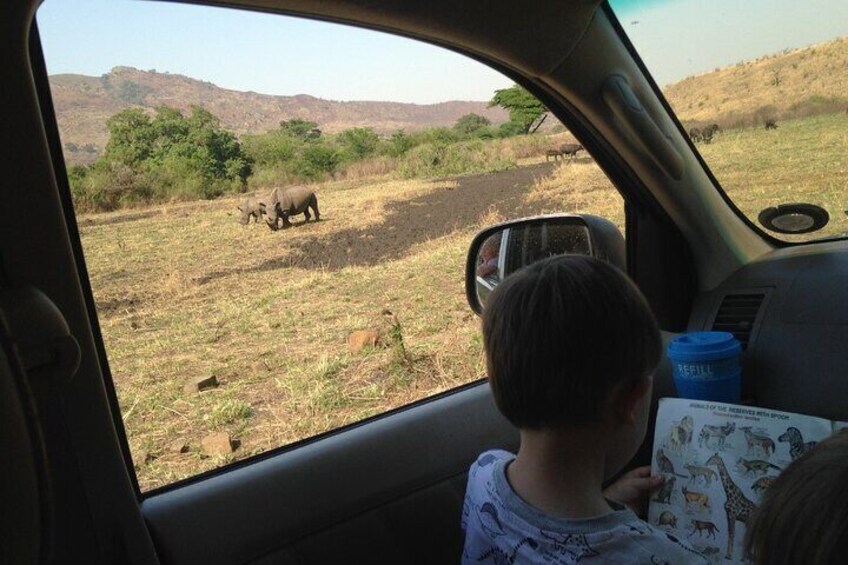 Child checking animals with his wildlife books