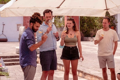 Monopoli: Parco Rurale-tur med smagning af 3 apuliske vine