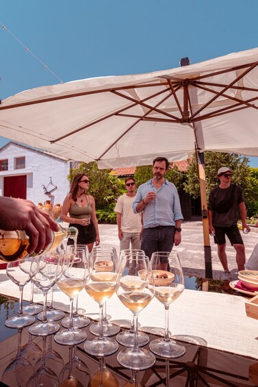 Picture 5 for Activity Monopoli: Parco Rurale Tour with Tasting of 3 Apulian Wines