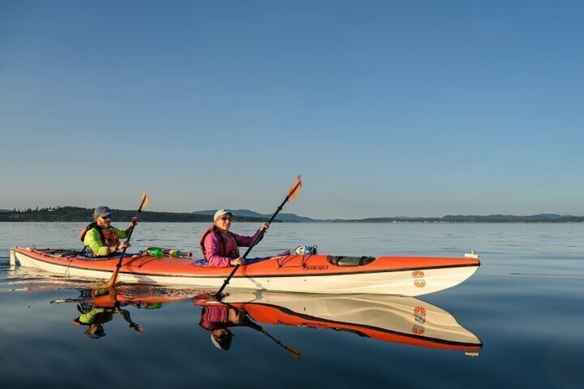 Kayaking in the San Juan Islands