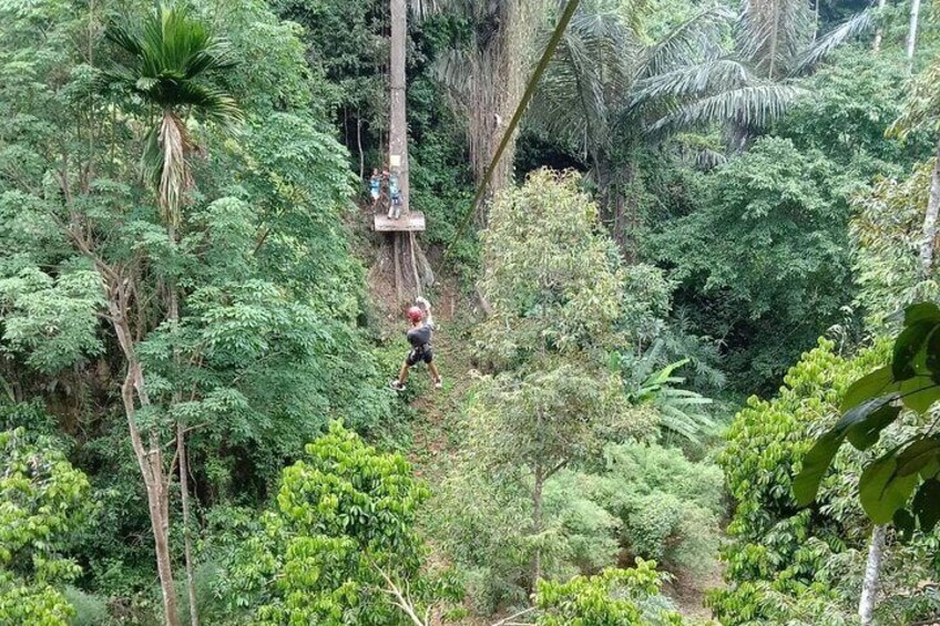 Krabi's Tropical Rainforest Canopy Zipline Adventure