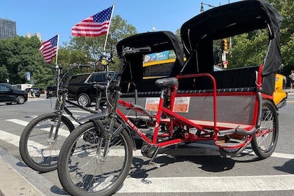 Tour in pedicab del Central Park di New York