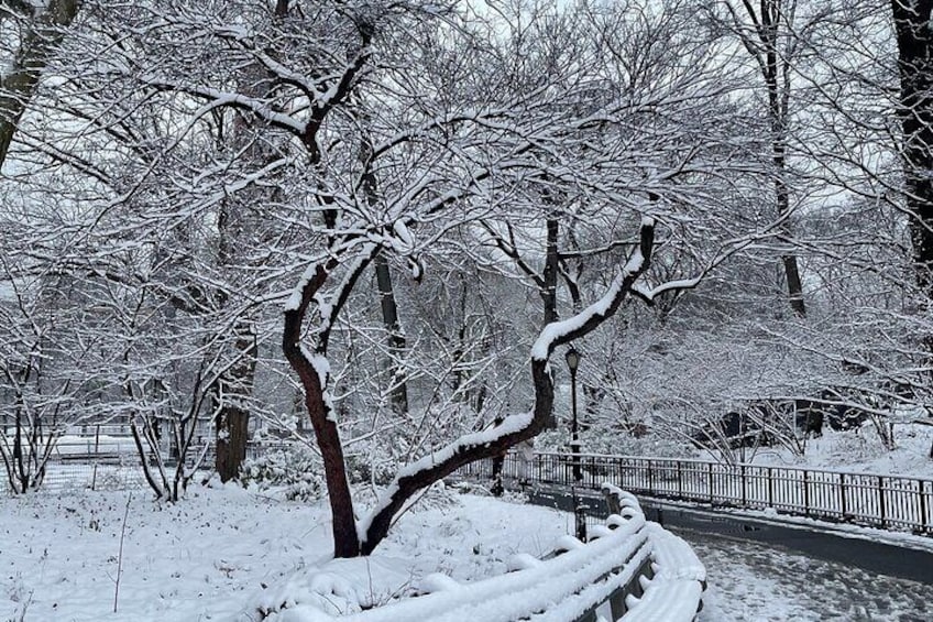 NYC Central Park Pedicab Tours