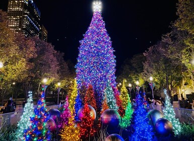 Chicago: Holiday Lights Walking Tour