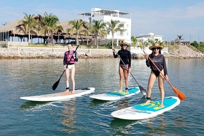 Half Day Private Paddle Board Experience in Mazatlan