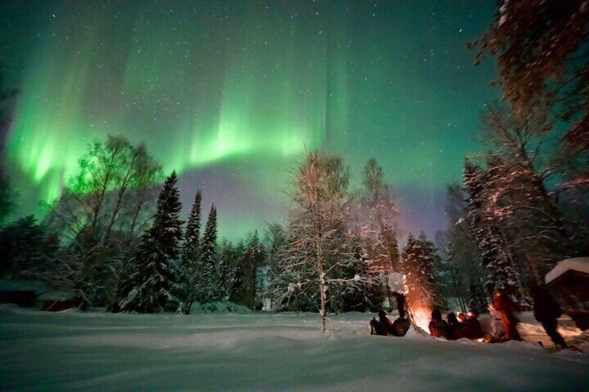Northern Lights Tour in Atmospheric Cottage