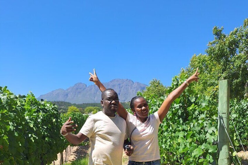 Private Full Day Wine Tasting in Stellenbosch and Franschoekk