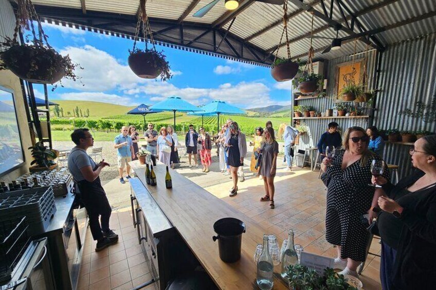 Yarra Valley Daily Public Group Wine Tour