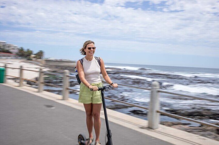 The Lion Trail