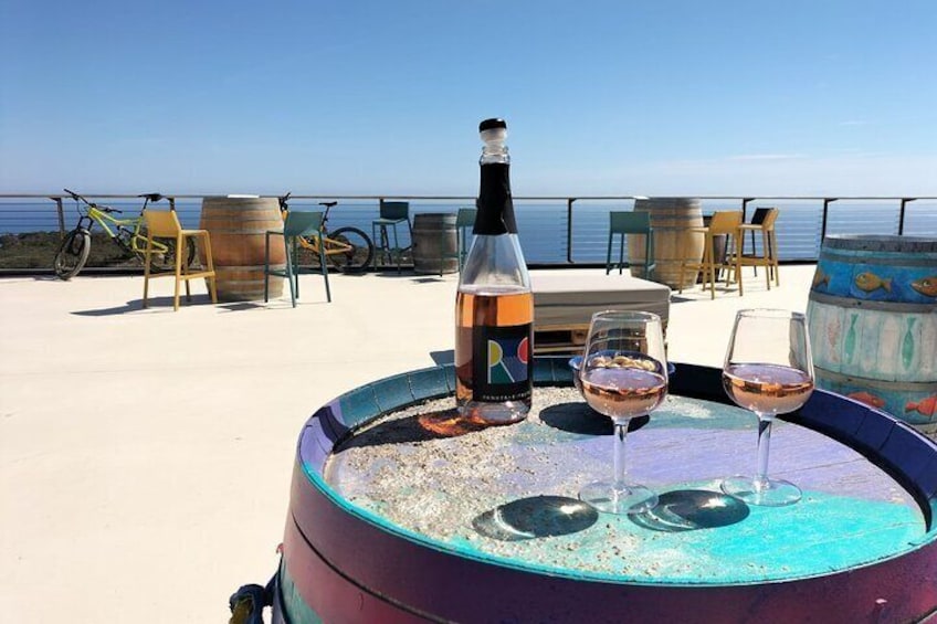 2-Hour e-bike Tour with Wine Tasting in Tenuta delle Ripalte