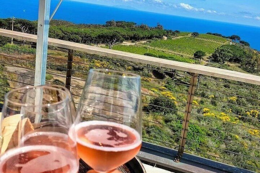 2-Hour e-bike Tour with Wine Tasting in Tenuta delle Ripalte