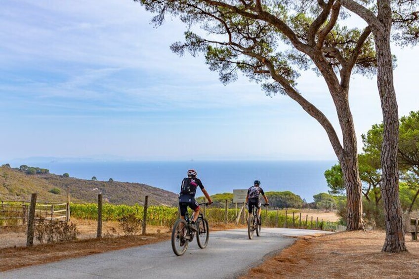 2-Hour e-bike Tour with Wine Tasting in Tenuta delle Ripalte