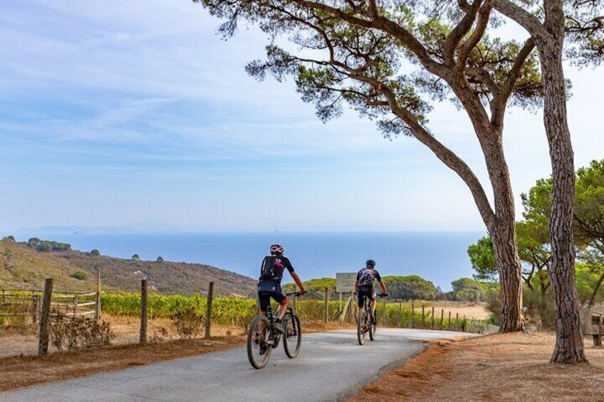 2-Hour e-bike Tour with Wine Tasting in Tenuta delle Ripalte