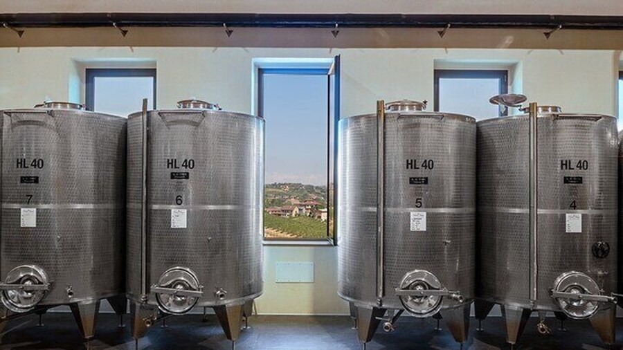 2 Hours Guided Tour and Wine Tasting in the Heart of Roero