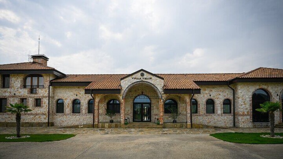 A Taste of Spring: Wine & Gourmet Food Experience in Villa Velis