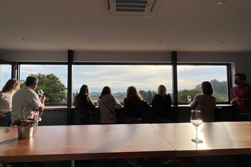 View over Lake Constance to the Alps, during a wine tasting at the Haug winery