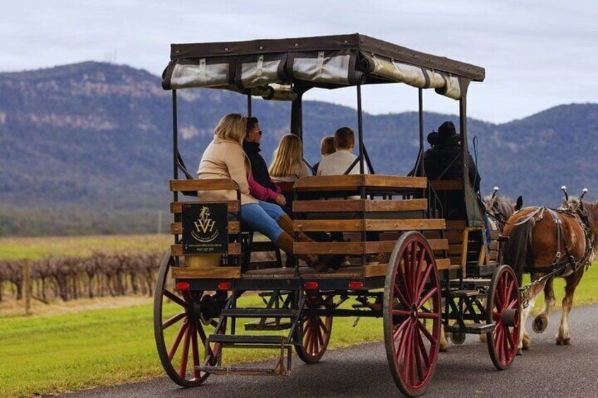  3- Hour Wine and Harvest the Hunter Horse Tour in Pokolbin